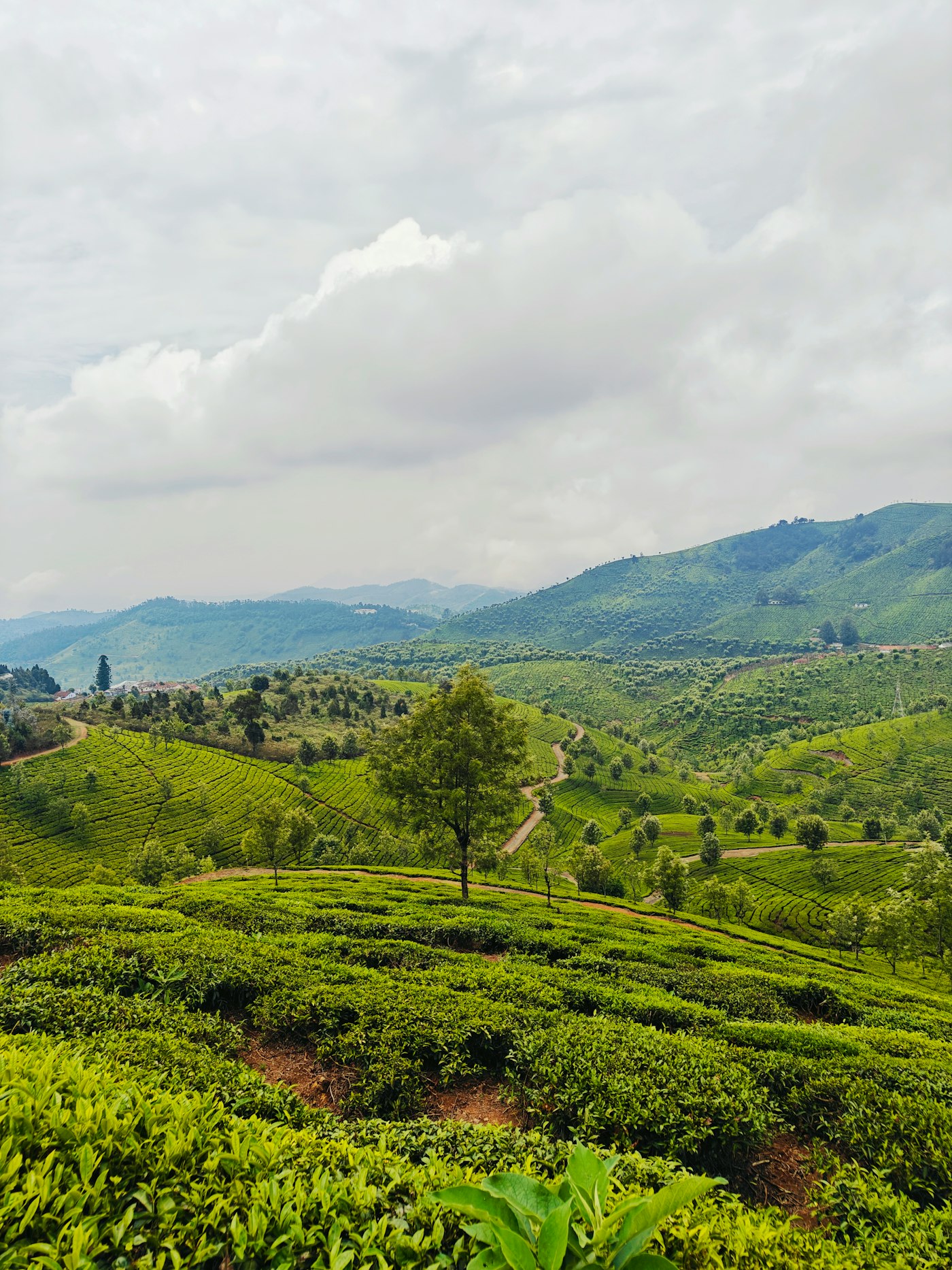 Coonoor